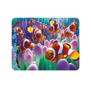 Obrázek z Magnet 3D 7x9cm - klaun očkatý v sasance (25) 